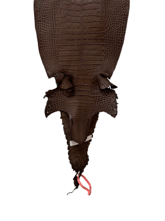 25 cm Grade 1/2 Nicotine Matte Farm-Raised American Alligator Leather - Tag: FL21-0024513