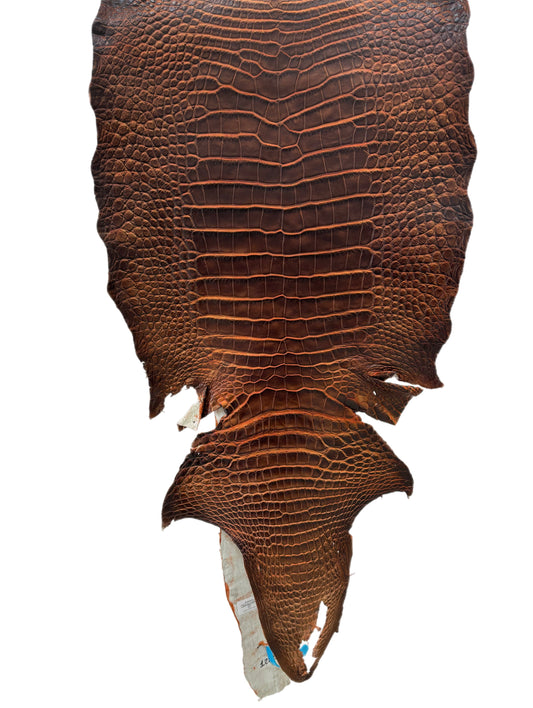 39 cm Grade 1/2 Sienna Desert Wild American Alligator Leather - Tag: ESRE-0050840