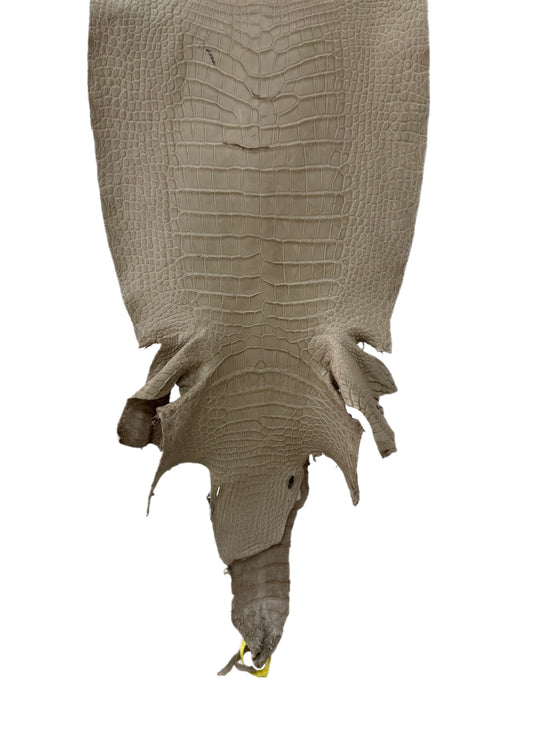 34 cm Grade 3/4 Oatmeal Matte Wild American Alligator Leather - Tag: LA25-0009808