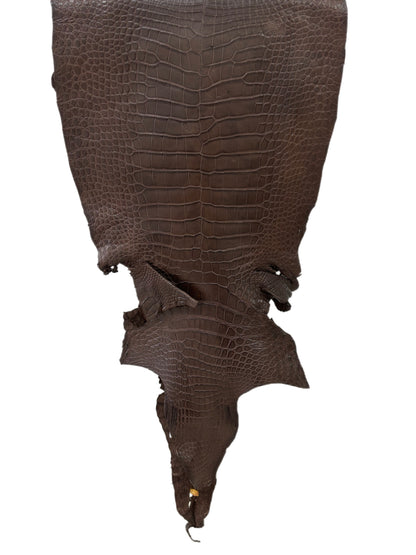 42 cm Grade 3/4 Chocolate Matte Wild American Alligator Leather - Tag: LA23-0029249