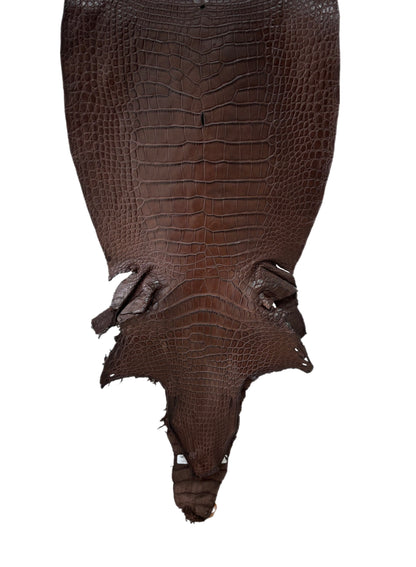 42 cm Grade 3/4 Chocolate Matte Wild American Alligator Leather - Tag: LA23-0000097