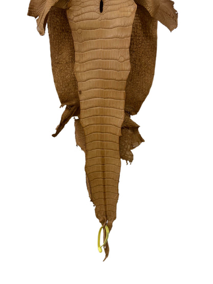 26 cm Grade 1/2 Antique Saddle Matte Wild American Alligator Leather - Tag: LA19-0037217