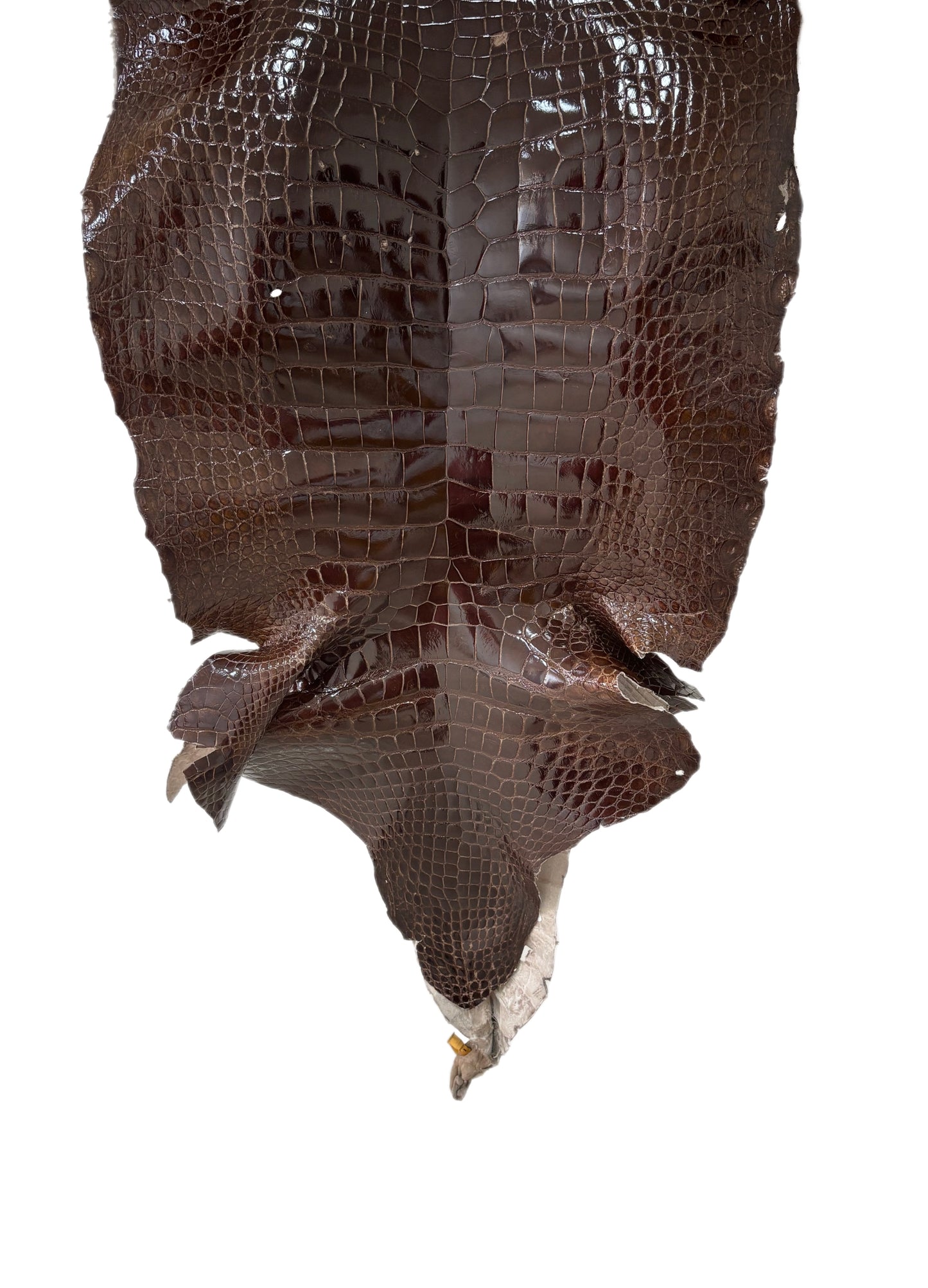 48 cm Grade 4/5 Sport Rust Brown Glazed Wild American Alligator Leather - Tag: LA23-0016746