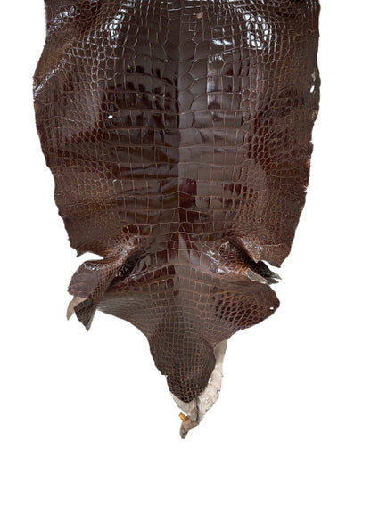 48 cm Grade 4/5 Sport Rust Brown Glazed Wild American Alligator Leather - Tag: LA23-0016746