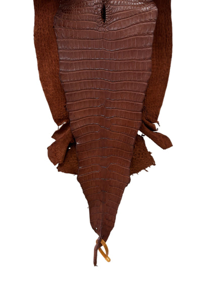 31 cm Grade 2/3 Rodeo Matte Farm-Raised American Alligator Leather - Tag: FL17-0036995