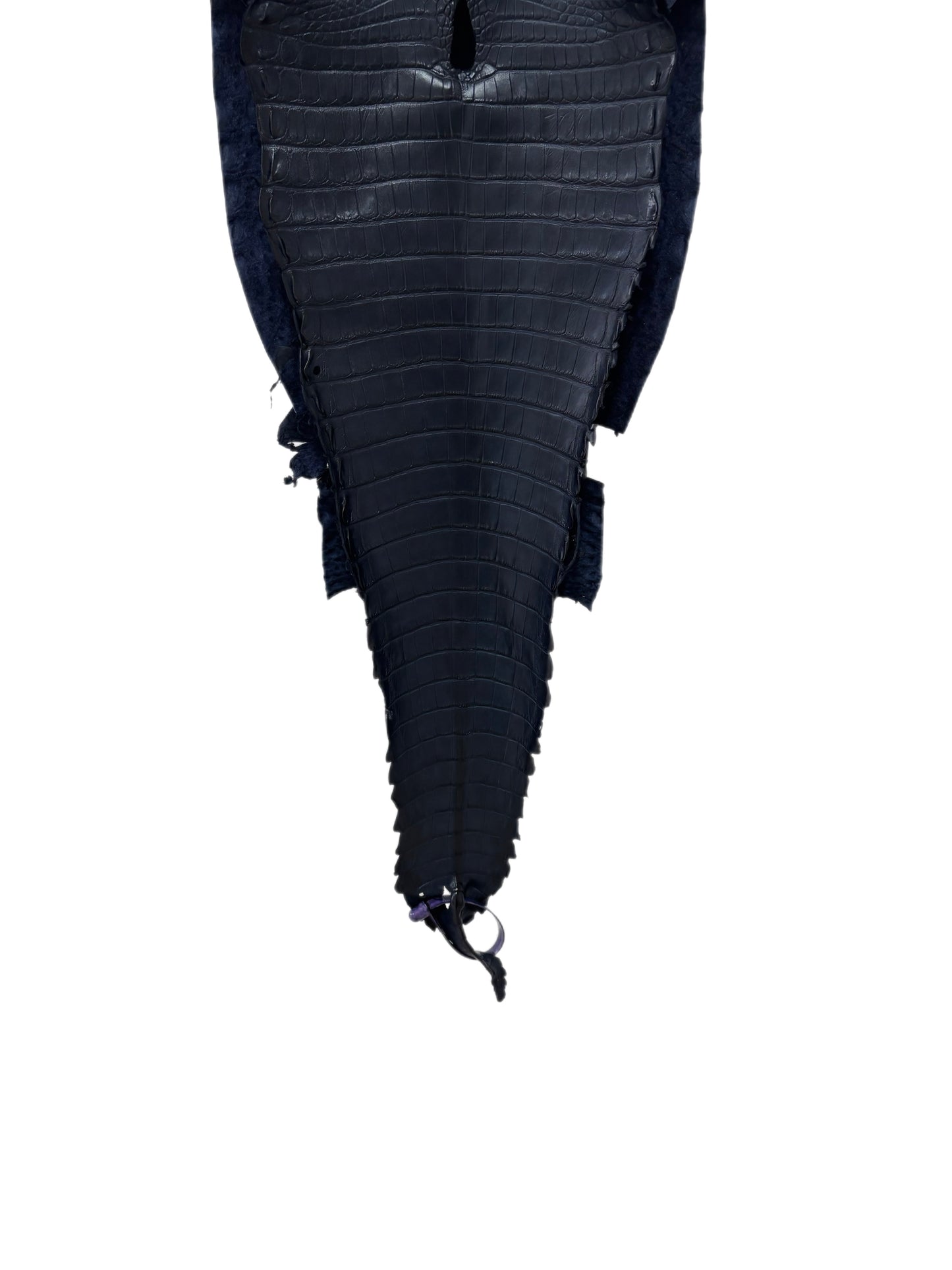 28 cm Grade 1 Navy Blue Matte Farm-Raised American Alligator Leather - Tag: FL21-0024806