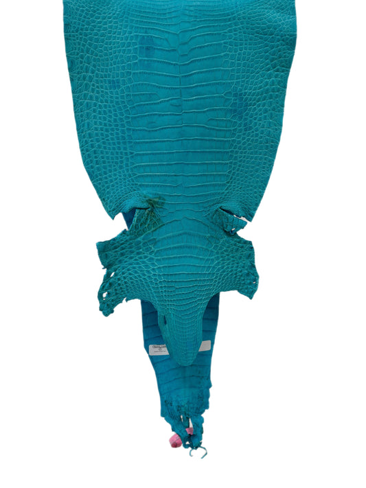 27 cm Grade 4/5 Turquoise Matte Farm-Raised American Alligator Leather - Tag: FL21-0024952