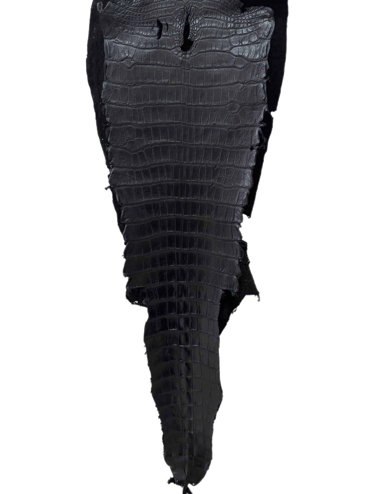 32 cm Grade 2/3 Metallic Black Shimmer Matte Wild American Alligator Leather - Tag: LA22-0003792