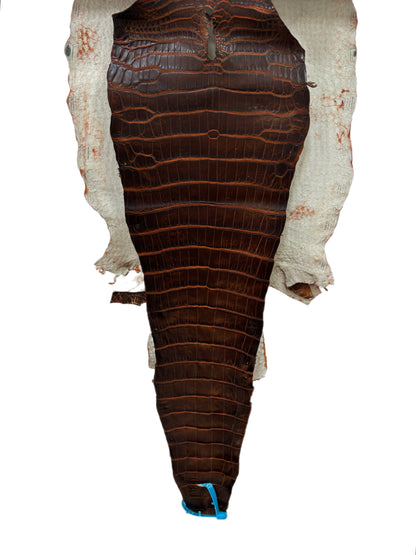 33 cm Grade 1/2 Sienna Matte Wild American Alligator Leather - Tag: ESRE-0050763
