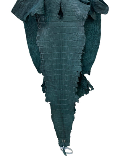 35 cm Grade 2/3 Teal Matte Wild American Alligator Leather - Tag: LA23-0007179
