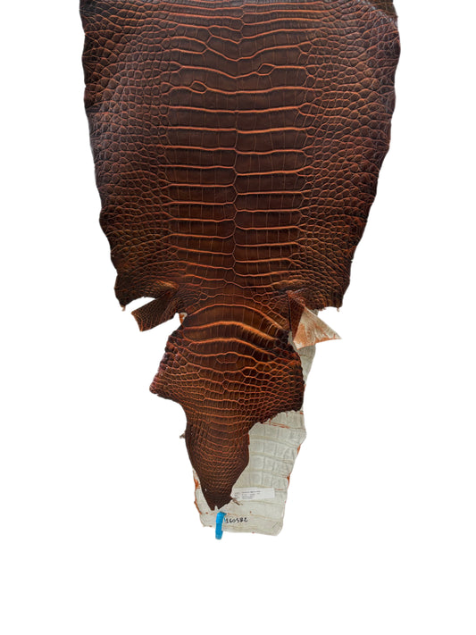 37 cm Grade 1/2 Sienna Matte Wild American Alligator Leather - Tag: ESRE-0050804