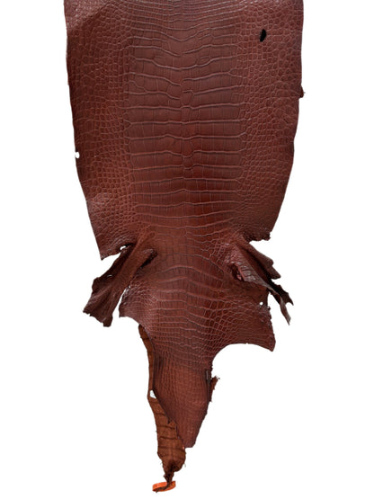 40 cm Grade 2/3 Italian Gold Matte Wild American Alligator Leather - Tag: LA24-0039672