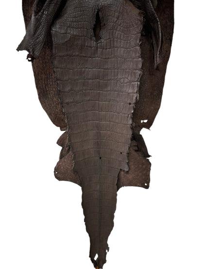 51 cm Grade 4/5 Dark Chocolate Matte Wild American Alligator Leather - Tag: LA23-0048152