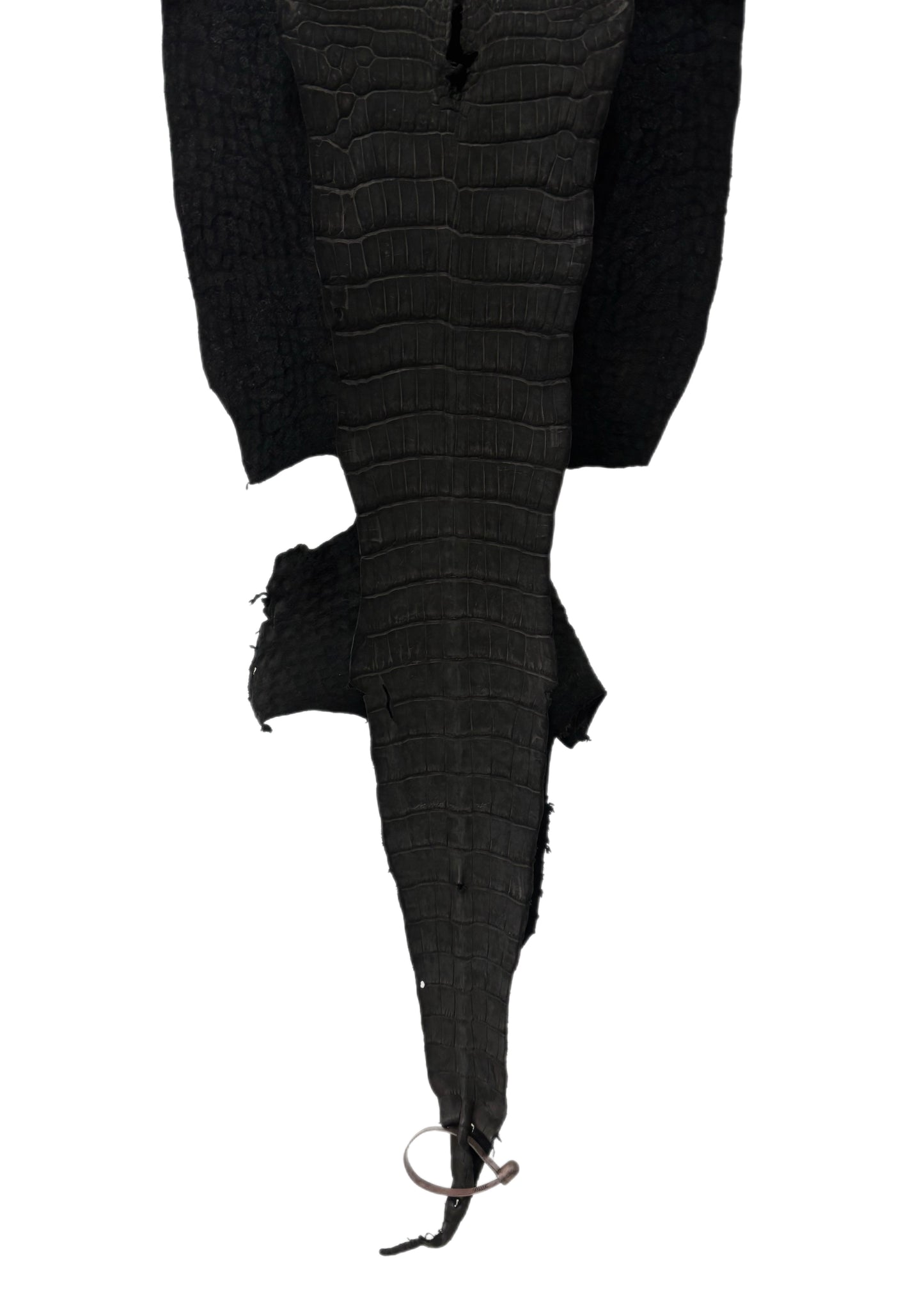 34 cm Grade 3/4 Black Nubuck Wild American Alligator Leather - Tag: LA18-0037381