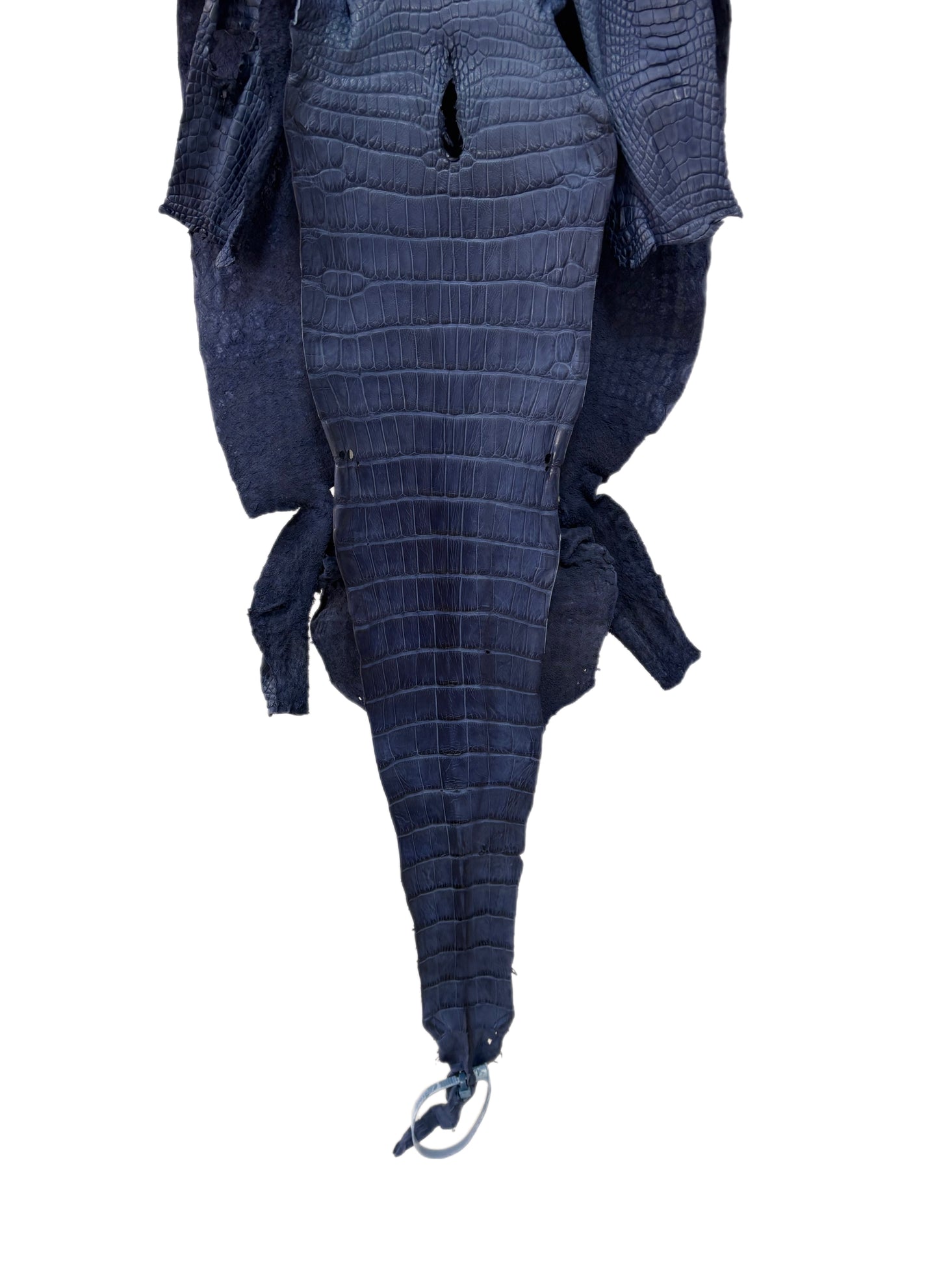 32 cm Grade 3/4 Indigo Matte Wild American Alligator Leather - Tag: LA23-0027037