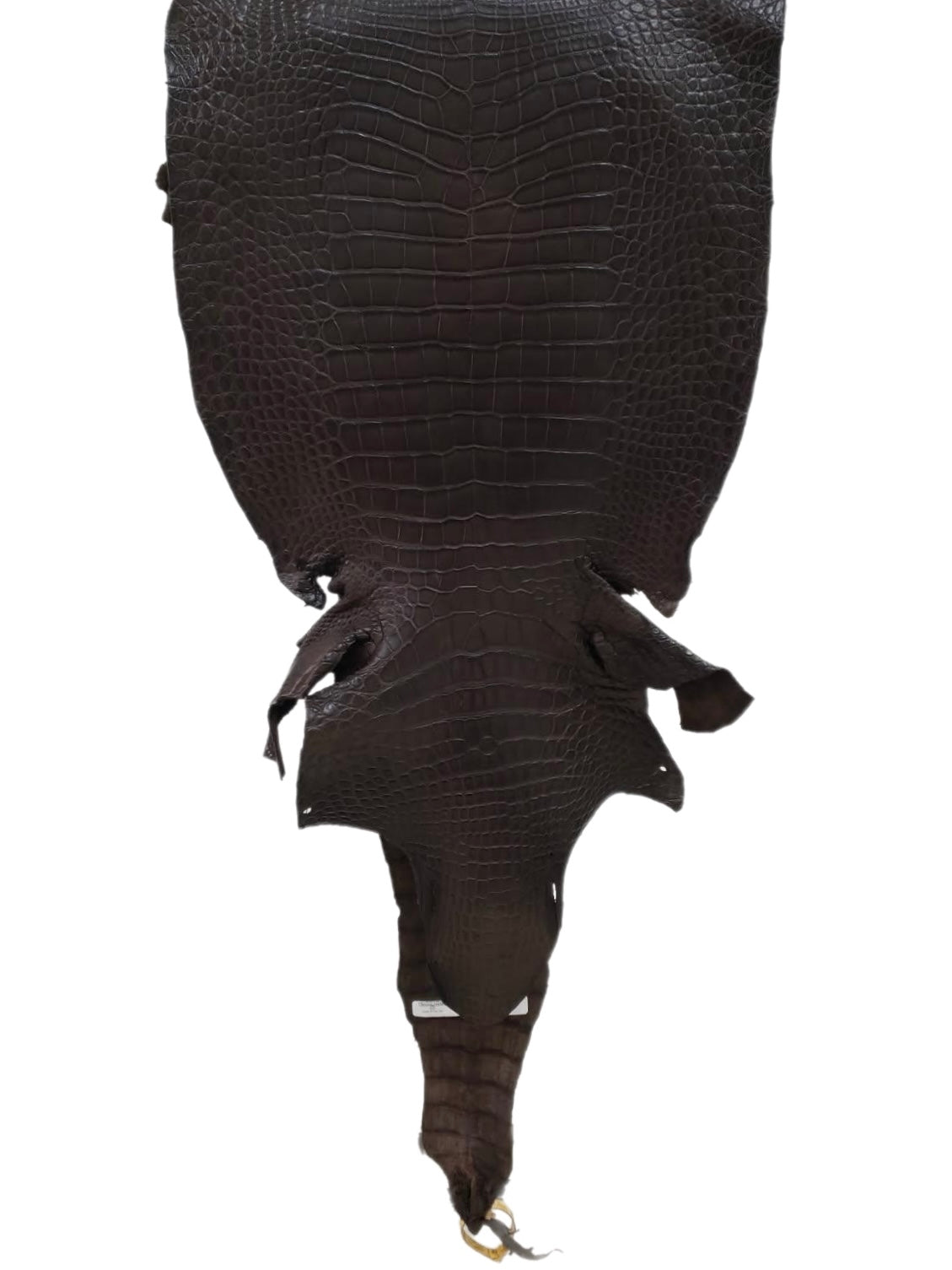 40 cm Grade 3/4 Kralle Brown Matte Wild American Alligator Leather - Tag: LA23-0030213