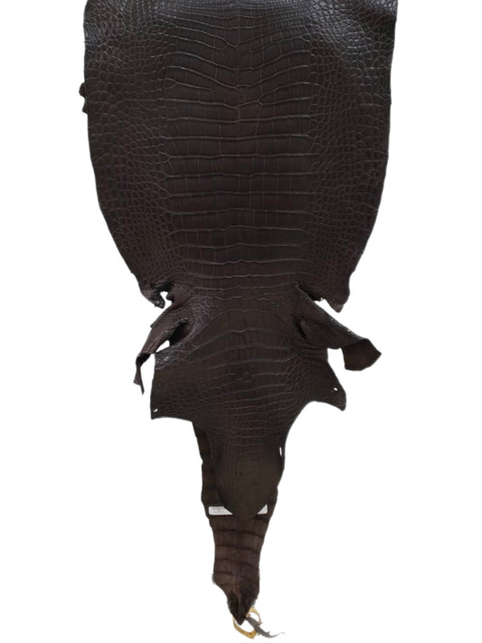 40 cm Grade 3/4 Kralle Brown Matte Wild American Alligator Leather - Tag: LA23-0030213
