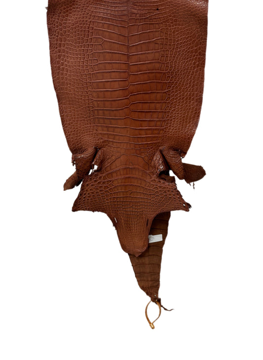 34 cm Grade 2/3 Rustic Cognac Matte Farm-Raised American Alligator Leather - Tag: FL17-0036957