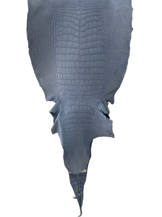 44 cm Grade 2/3 Carolina Blue Matte Wild American Alligator Leather - Tag: LA23-0007559
