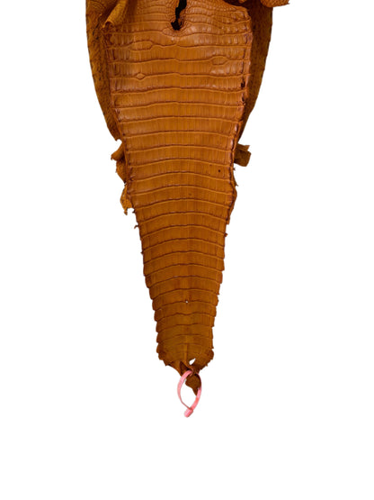 27 cm Grade 2/3 Buttercup Matte Farm-Raised American Alligator Leather - Tag: FL21-0024027