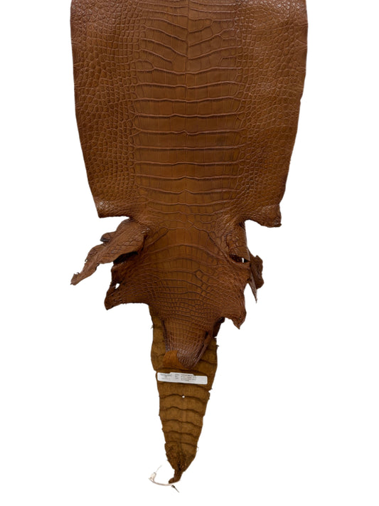 35 cm Grade 2/3 Kango Tabac Matte Wild American Alligator Leather - Tag: LA23-0050088