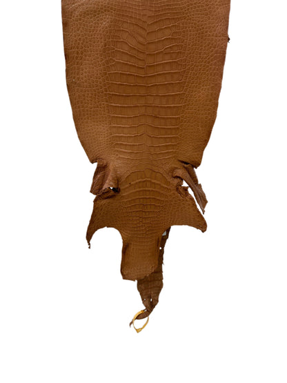 35 cm Grade 2/3 Almond Matte Wild American Alligator Leather - Tag: LA23-0019955