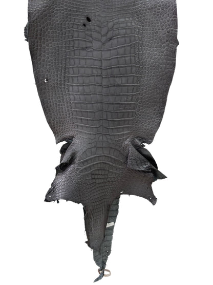43 cm Grade 3/4 Serpentine Grey Matte Wild American Alligator Leather - Tag: LA23-0003730