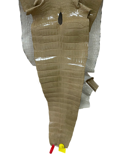 39 cm Grade 3/4 Ash Glazed Wild American Alligator Leather - Tag: ITCC-0539970