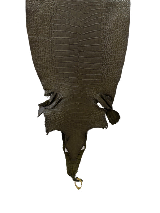 37 cm Grade 2/3 Olive Matte Wild American Alligator Leather - Tag: LA23-0050871