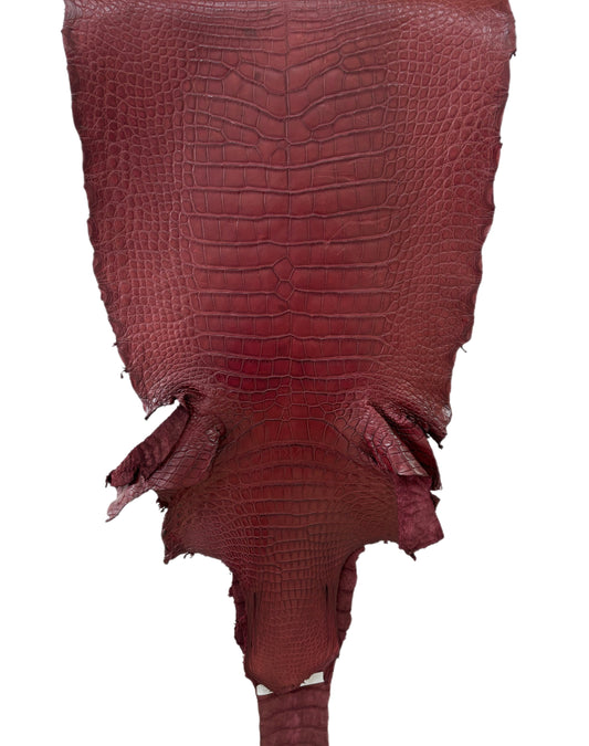41 cm Grade 3/4 Bordeaux Matte Wild American Alligator Leather - Tag: LA22-0004760
