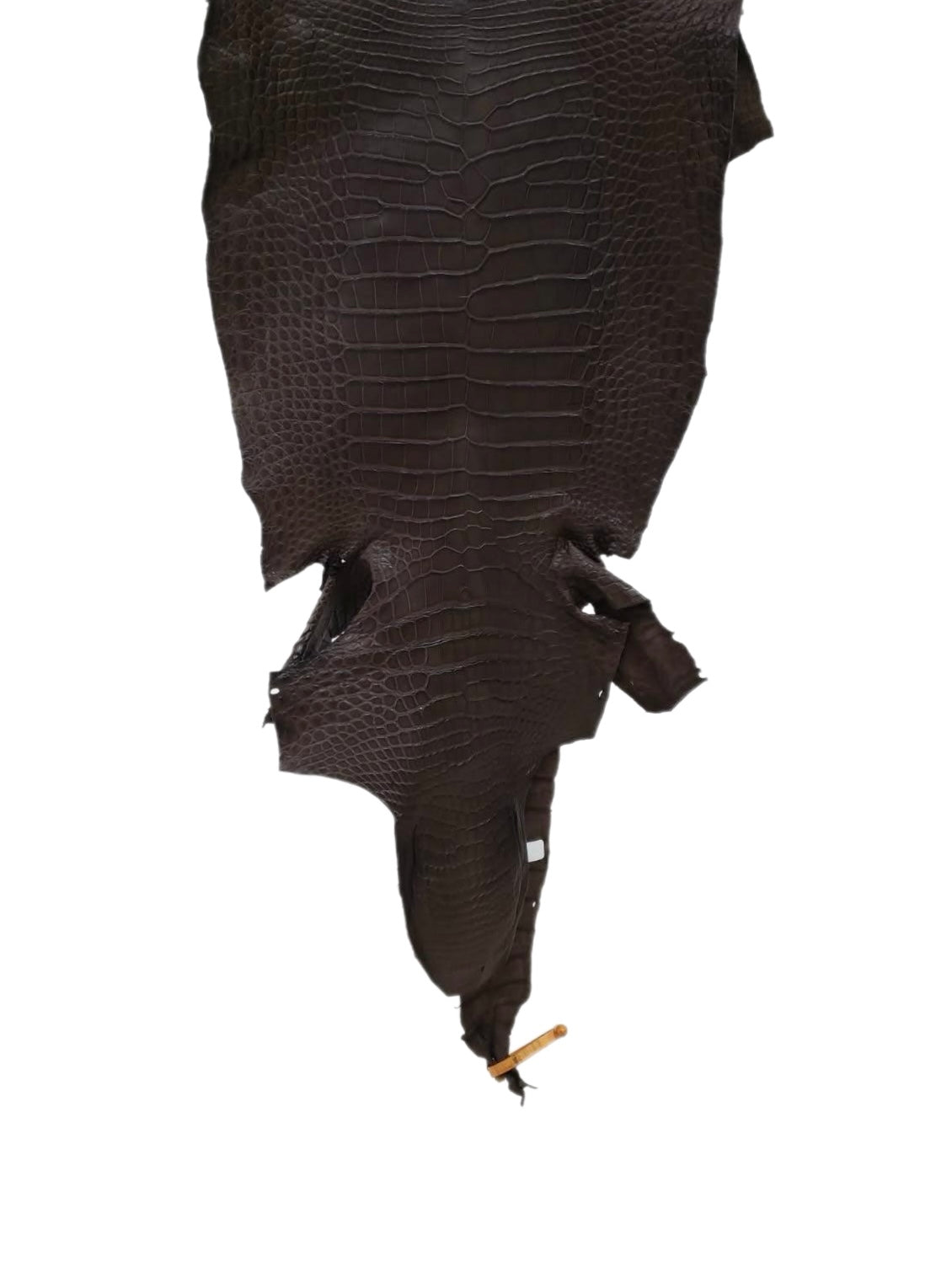 36 cm Grade 2/3 Kralle Brown Matte Wild American Alligator Leather - Tag: LA18-0033319
