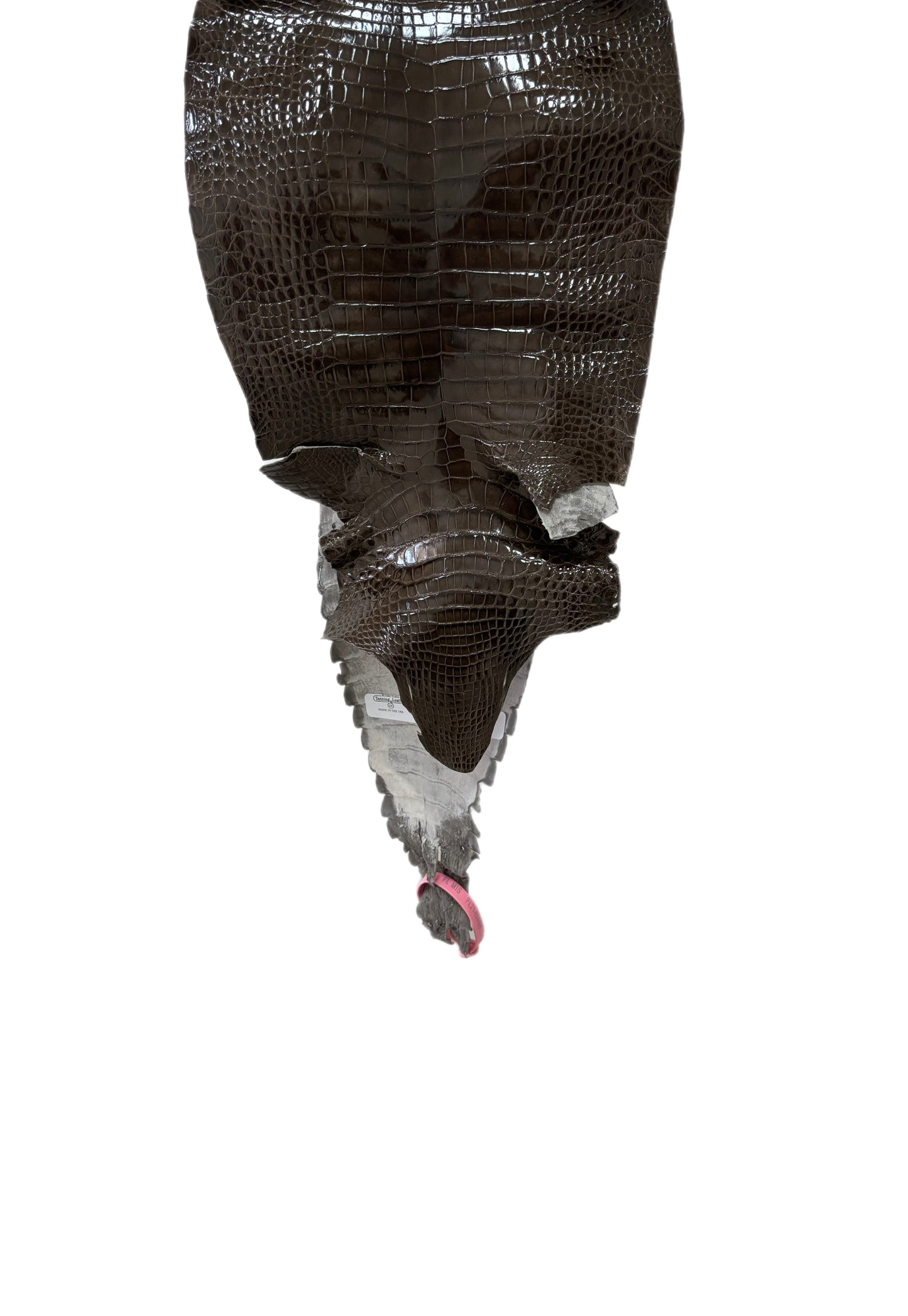23 cm Grade 1/2 Cocoa Glazed Wild American Alligator Leather - Tag: FL21-0024488