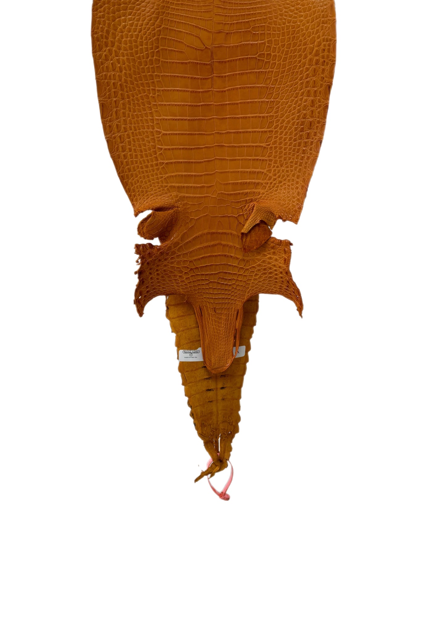 25 cm Grade 2/3 Buttercup Matte Farm-Raised American Alligator Leather - Tag: FL21-0025034