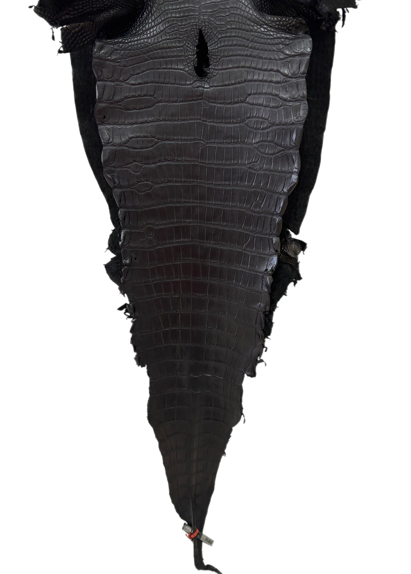 33 cm Grade 2/3 Black Matte Farm-Raised American Alligator Leather - Tag: LA23-0531565
