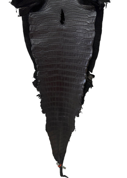 33 cm Grade 2/3 Black Matte Farm-Raised American Alligator Leather - Tag: LA23-0531565