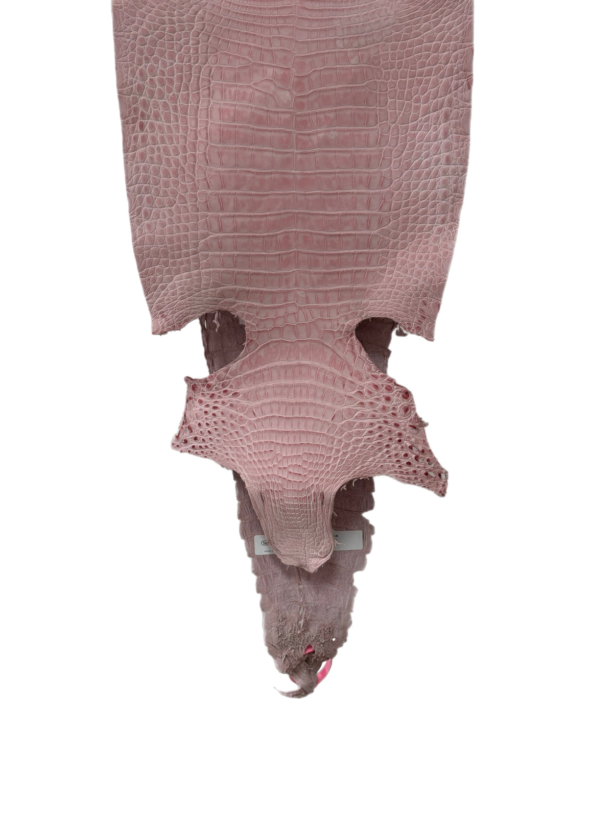 New Color and Finish! 27 cm Grade 1/2 Light Pink Nubuck Farm-Raised American Alligator Leather - Tag: FL21-0024669