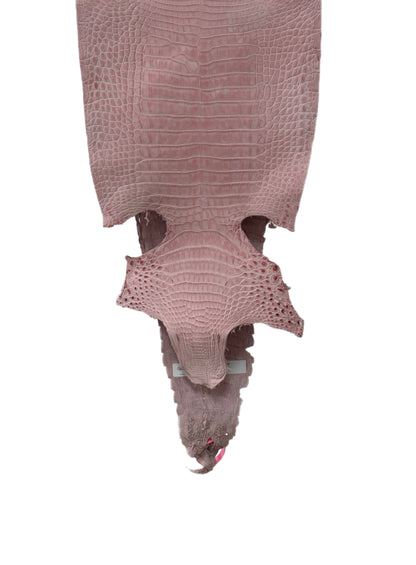 New Color and Finish! 27 cm Grade 1/2 Light Pink Nubuck Farm-Raised American Alligator Leather - Tag: FL21-0024669