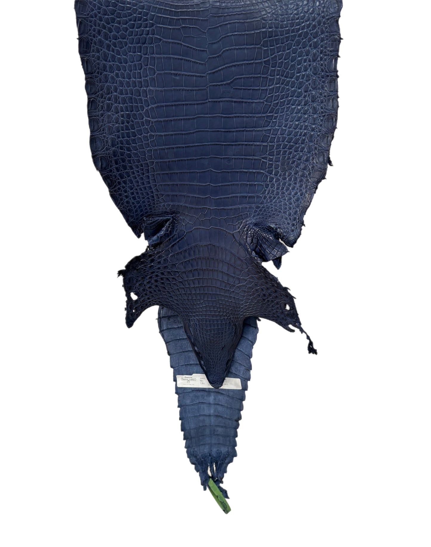 26 cm Grade 4/5 Admiral Blue Matte Farm Raised American Alligator Leather - Tag: FL22-0030360