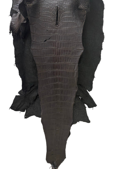 57 cm Grade 2/3 Black Matte Wild American Alligator Leather - Tag: LA23-0024512