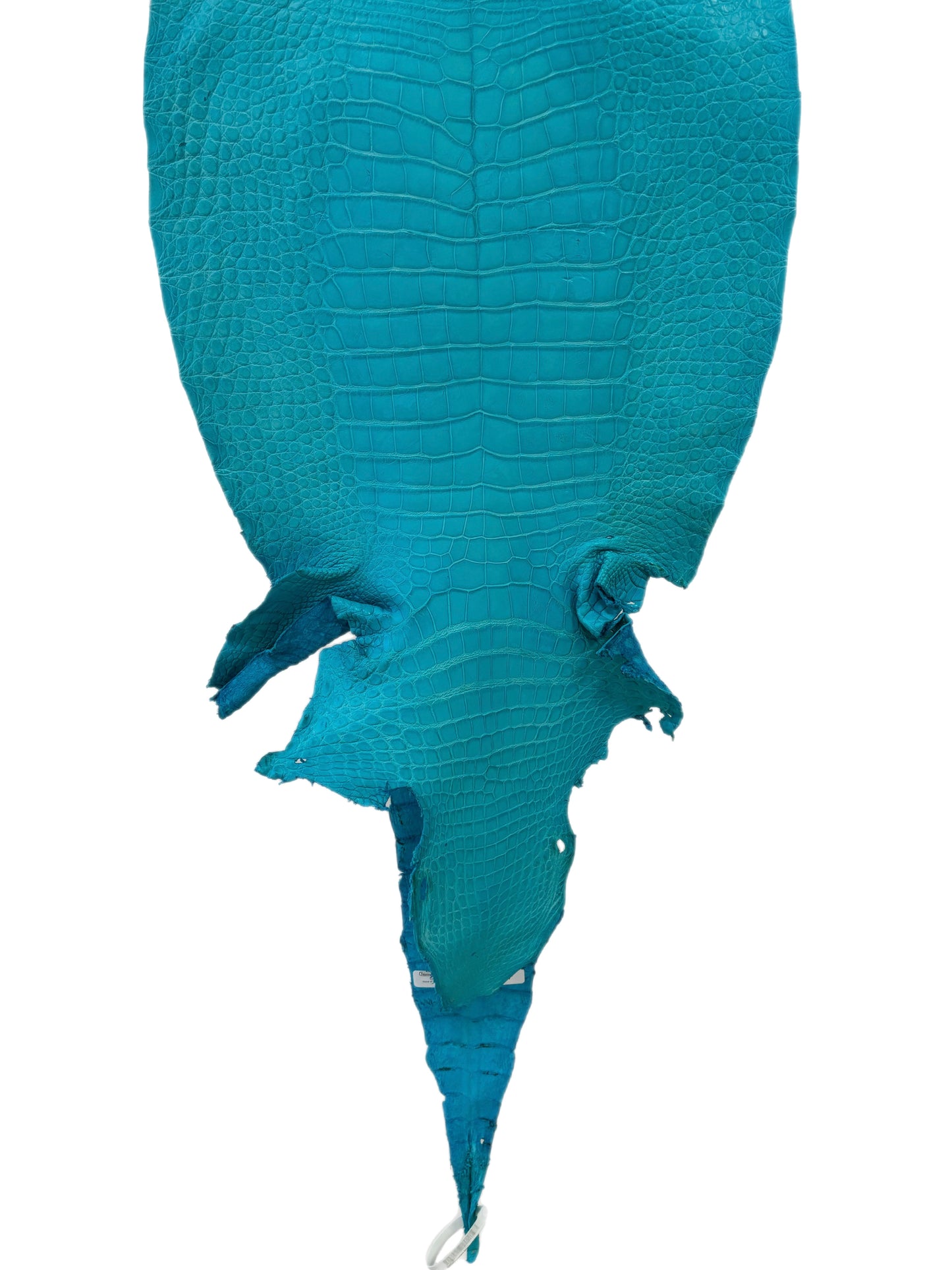 42 cm Grade 3/4 Turquoise Matte Wild American Alligator Leather - Tag: LA23-0024337