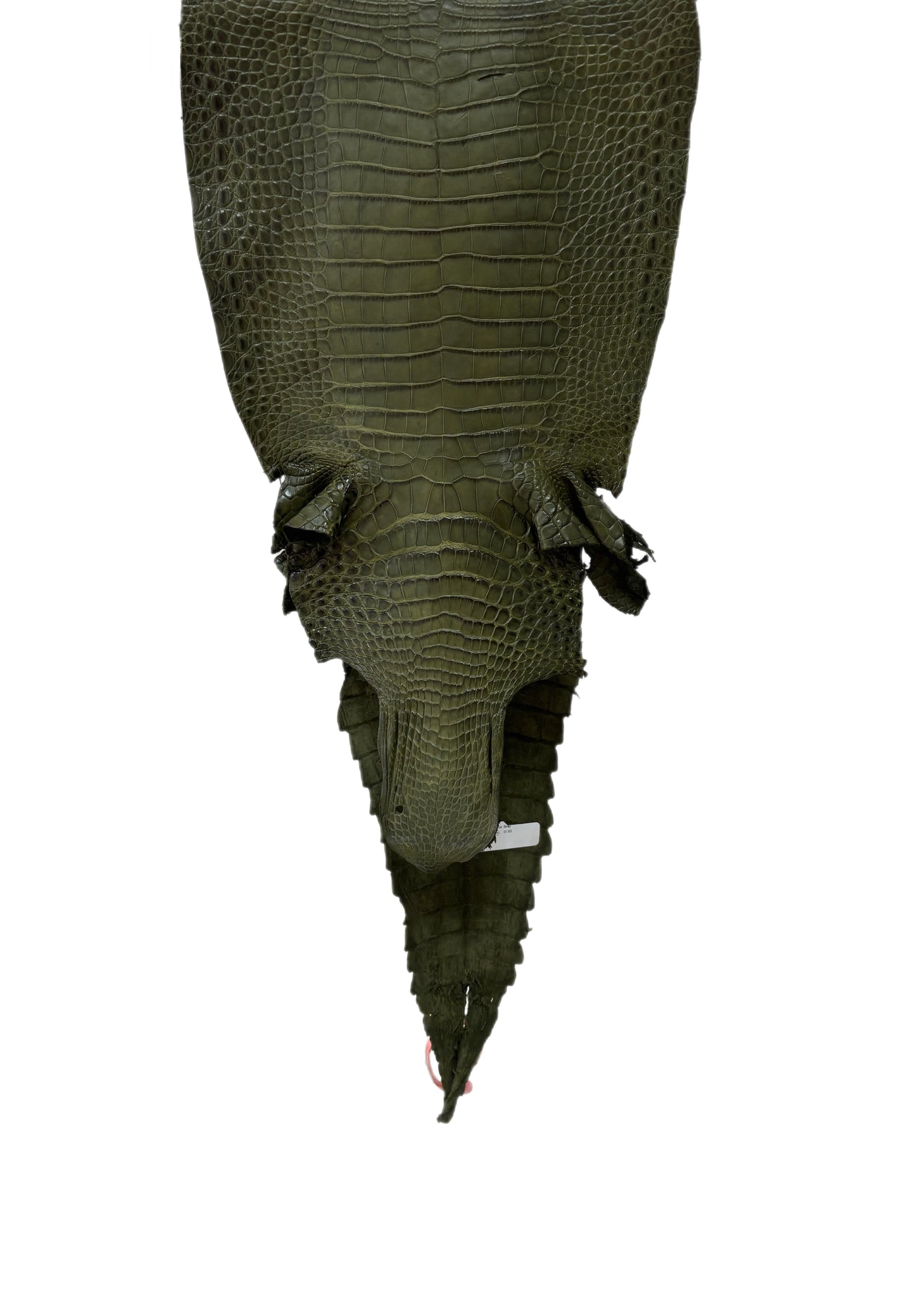 28 cm Grade 2/3 Olive Matte Farm-Raised American Alligator Leather - Tag: FL21-0024130