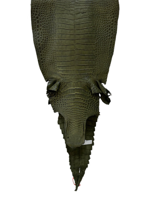 28 cm Grade 2/3 Olive Matte Farm-Raised American Alligator Leather - Tag: FL21-0024130