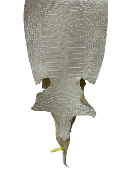 35 cm Grade 2/3 White Pearl Matte Farm-Raised American Alligator Leather - Tag: LA25-0316391