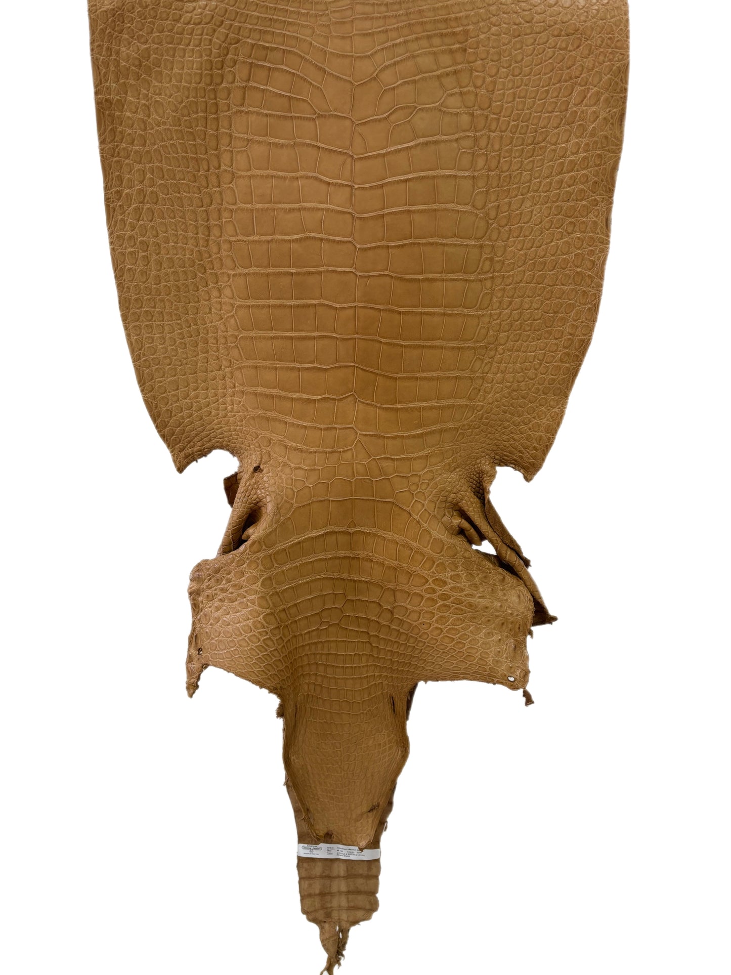 46 cm Grade 2/3 Antique Saddle Matte Wild American Alligator Leather - Tag: LA23-0033312