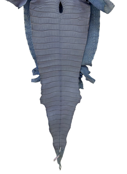 34 cm Grade 1/2 Carolina Blue Matte Farm-Raised American Alligator Leather - Tag: LA17-0274688