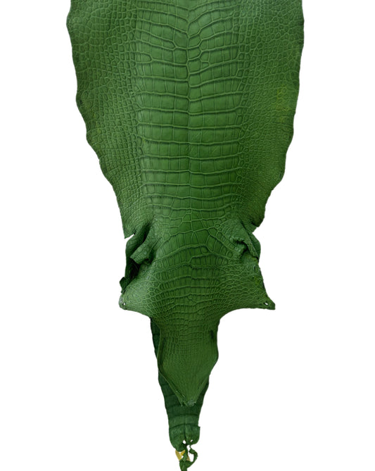 39 cm Grade 4/5 Jungle Green Matte Wild American Alligator Leather - Tag: LA23-0002054