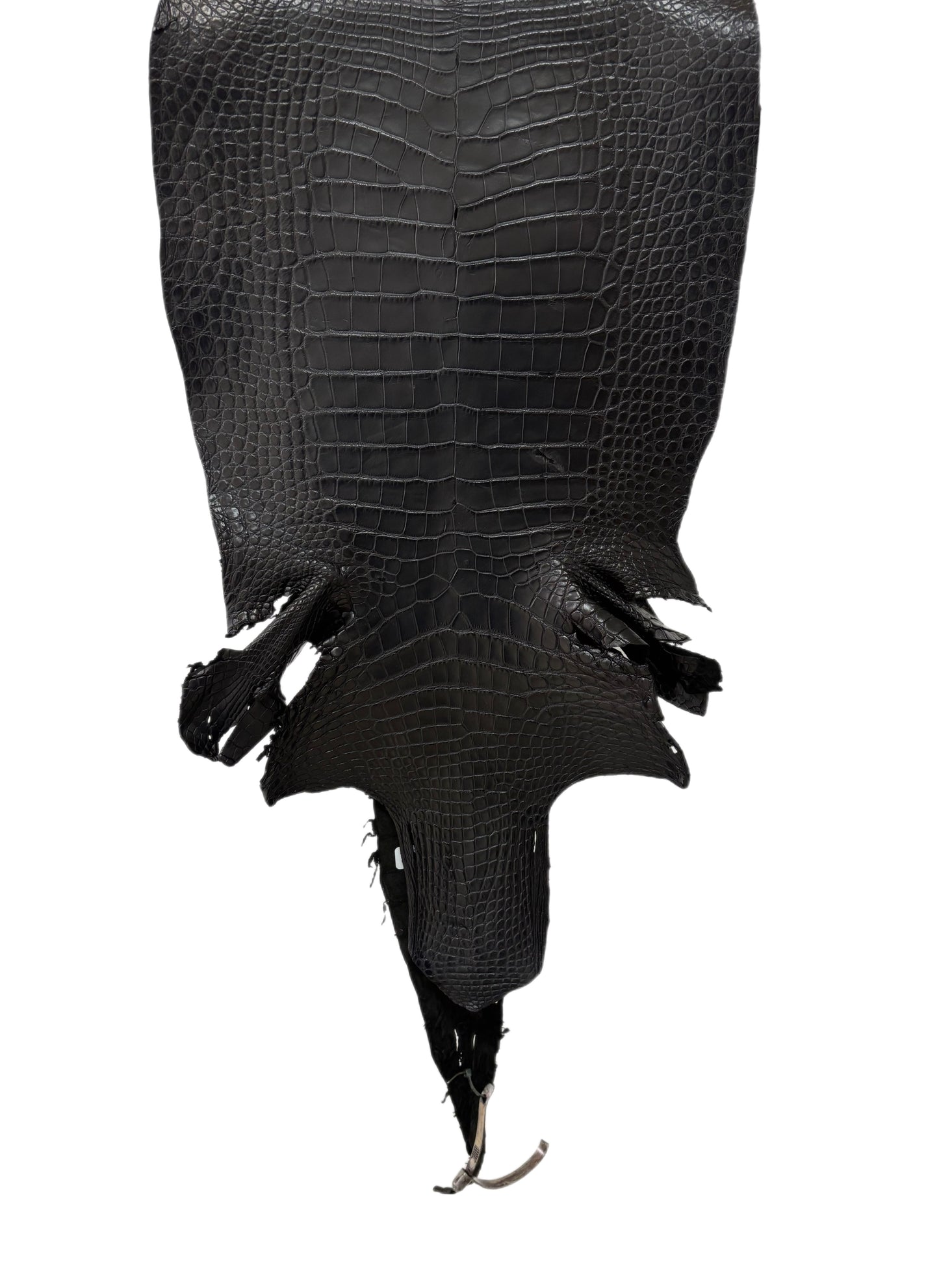 36 cm Grade 3/4 Black Matte Wild American Alligator Leather - Tag: LA17-0019419