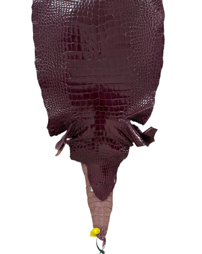 35 cm Grade 2/3 Regal Glazed Wild American Alligator Leather - Tag: LA96-023088