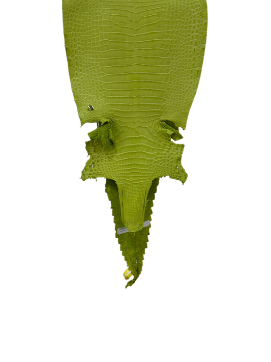 28 cm Grade 2/3 Chartreuse Matte Farm-Raised American Alligator Leather - Tag: FL22-0030374
