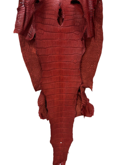 50 cm Grade 4/5 Marziale Matte Wild American Alligator Leather - Tag: LA23-0023041